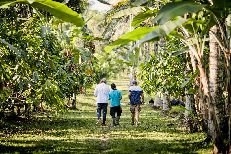 Voyage&#32;Plantation&#32;-&#32;Cuv&#233;e&#32;Bali&#32;10