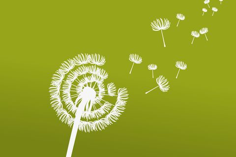 AN_Web_1920x1280_In_MEMORY