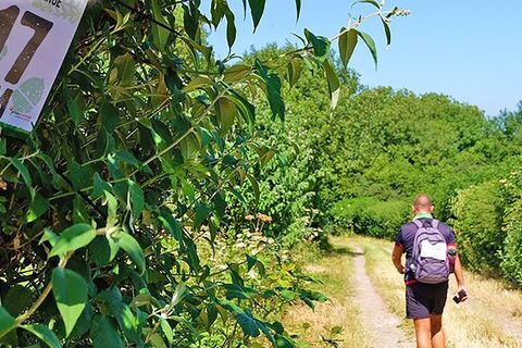 challenge_Cotswold Way
