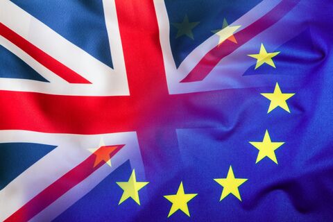 BREXIT_flag_427710964
