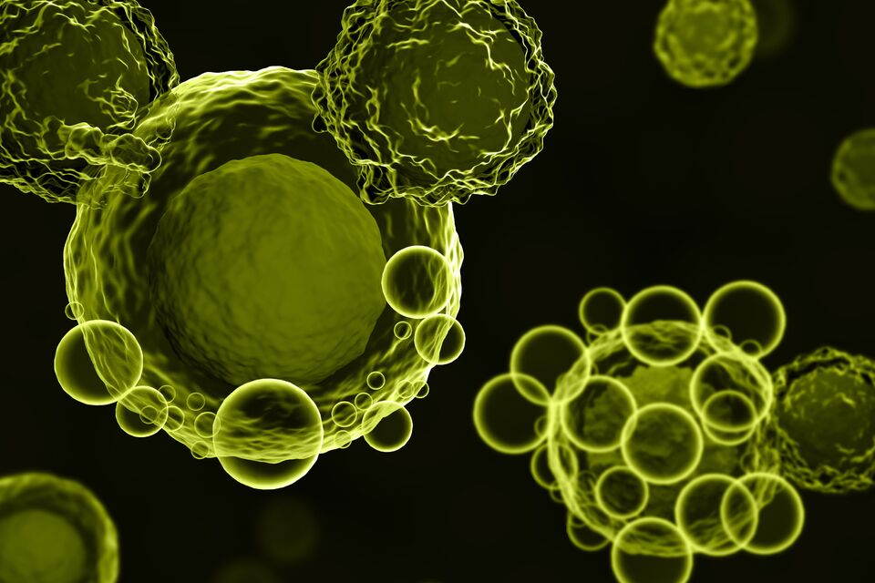 AN_C>_carTcells_dark_2