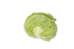 SCANDINAS (45-IC1425) Knox™ product photo