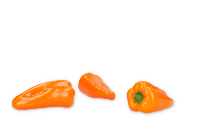 ORANGE OBLEA RZ F1 (35-MO1485) product photo front L