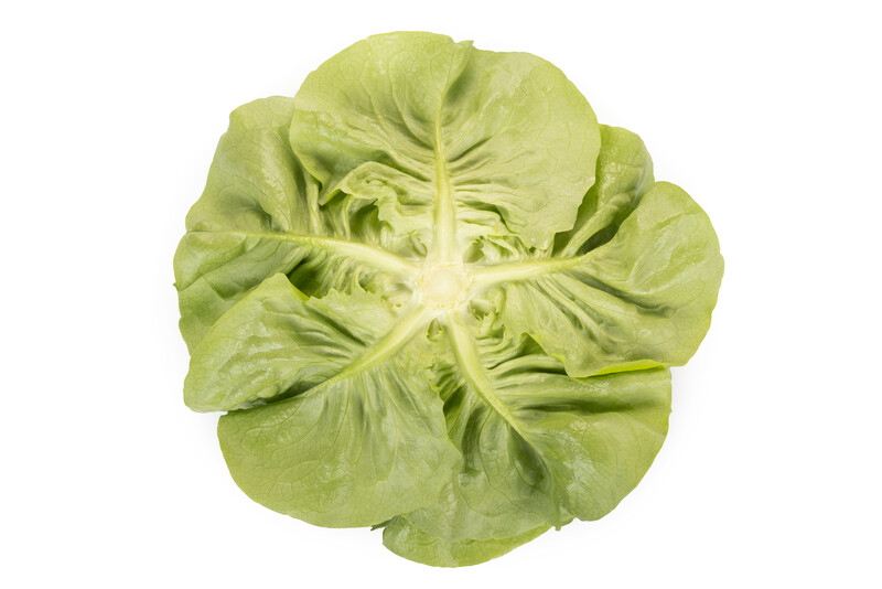 HALEWYN RZ (42-117) product photo view-2 L