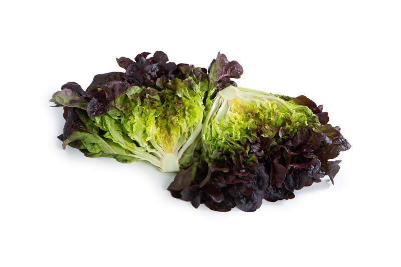 DAKARAI (83-OA5664) product photo view-2 L
