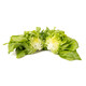 CECILIA RZ product photo view-2 S