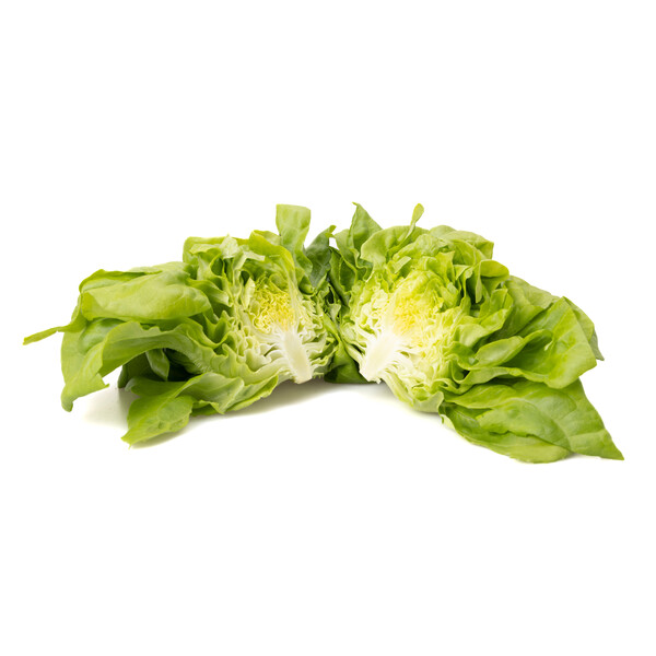 CECILIA RZ product photo view-2 L