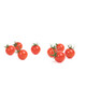 NANCY RZ F1 (74-116) product photo front S