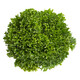 EXCURIA RZ product photo front S
