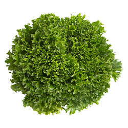 EXCURIA RZ product photo