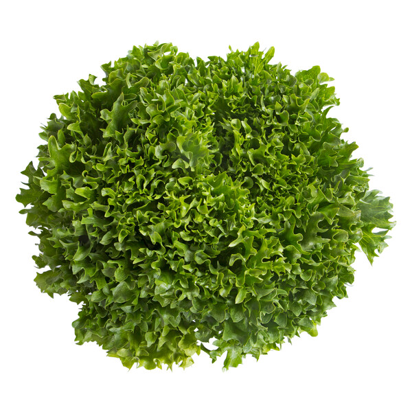 EXCURIA RZ product photo front L