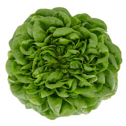 HILBERT RZ product photo