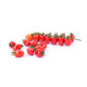 REDETTO RZ F1 (72-174) product photo view-5 S