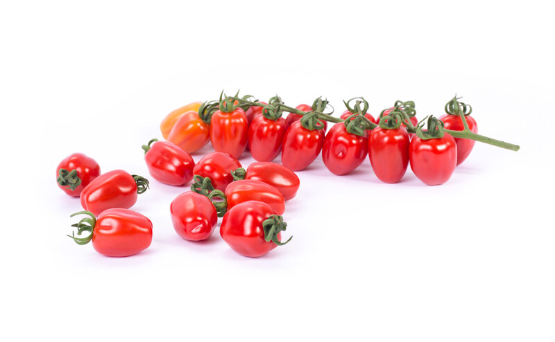 REDETTO RZ F1 (72-174) product photo view-5 L