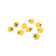 SUNCERY RZ F1 (74-132) product photo front S