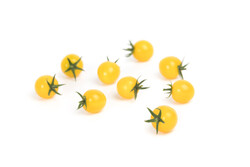 SUNCERY RZ F1 (74-132) product photo