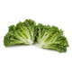 EXPERTISE RZ product photo view-2 S