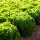 EXCURIA RZ product photo view-5 S