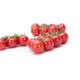 TATAMI RZ F1 (72-175) product photo view-4 S