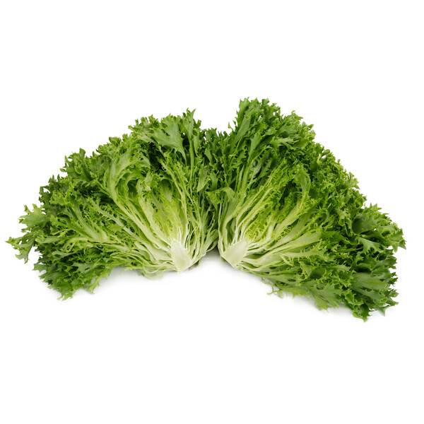 EXCURIA RZ product photo view-3 L