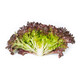 YVES RZ product photo view-3 S