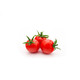 NANCY RZ F1 (74-116) product photo view-2 S