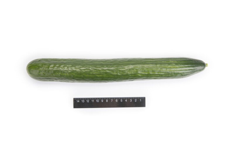 ROADIE RZ F1 (24-242) product photo view-3 L