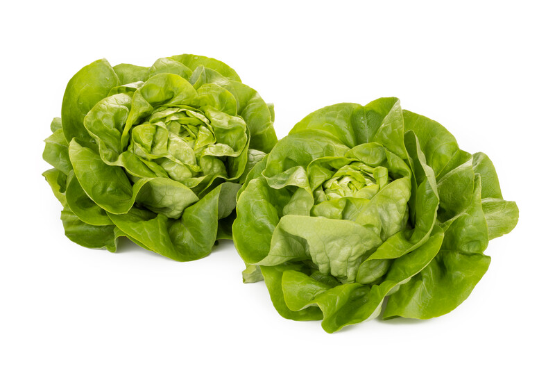 HALEWYN RZ (42-117) product photo view-3 L