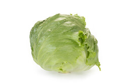 CLOSINAS (45-IC1201) Knox™ product photo