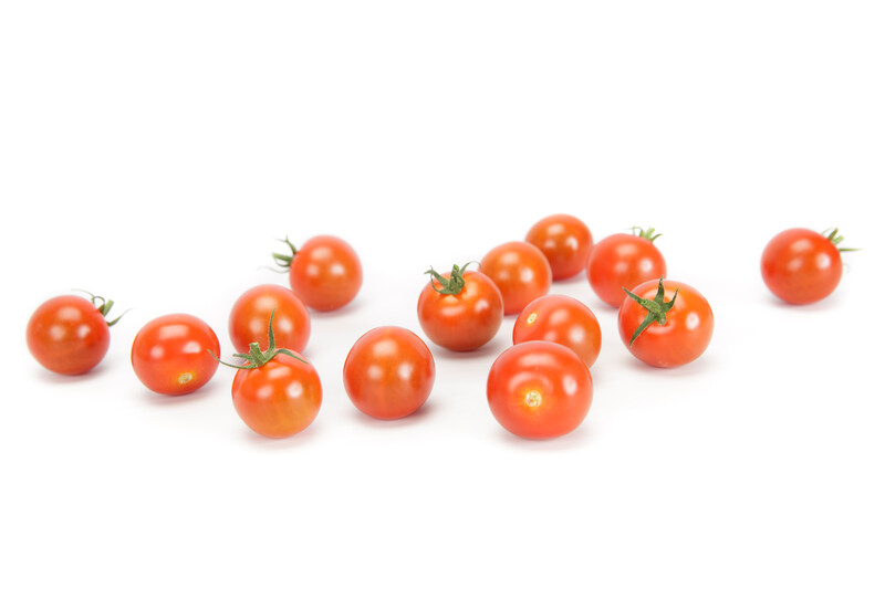 SASSARI RZ F1 (72-138) product photo view-4 L