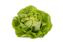 HALEWYN RZ (42-117) product photo