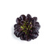 MANET RZ product photo front S