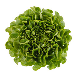 COOK RZ product photo