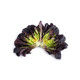 MANET RZ product photo view-2 S
