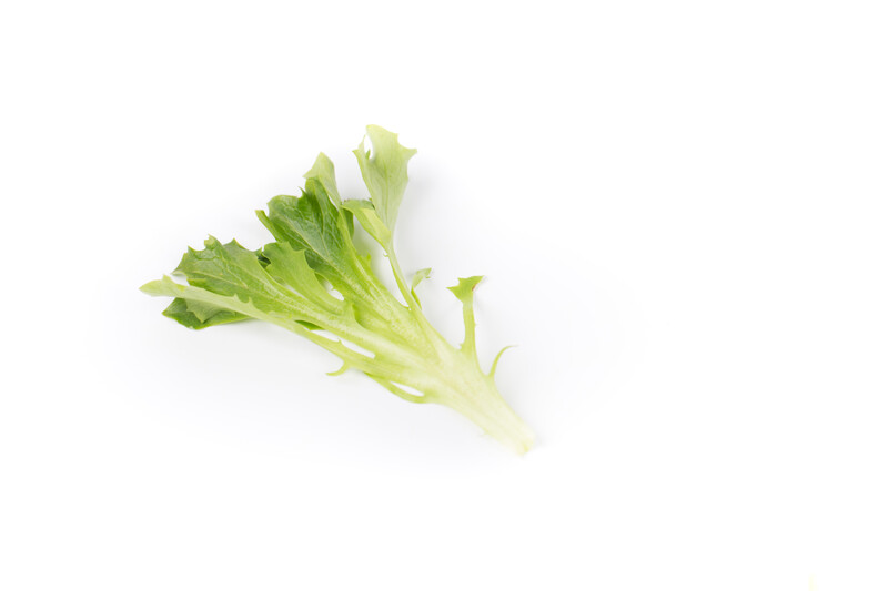 ベイビーリーフ Lettuce Seeds | Babyleaf | Leaf | CHAPMAN RZ | Rijk Zwaan USA
