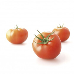 GLORIETTE F1 (73-402) product photo
