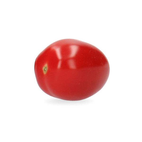 RASBORA RZ F1 product photo view-2 L