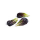 Salanova® MANET (79-ML2589) product photo view-3 S