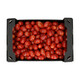 RASBORA RZ F1 product photo view-3 S