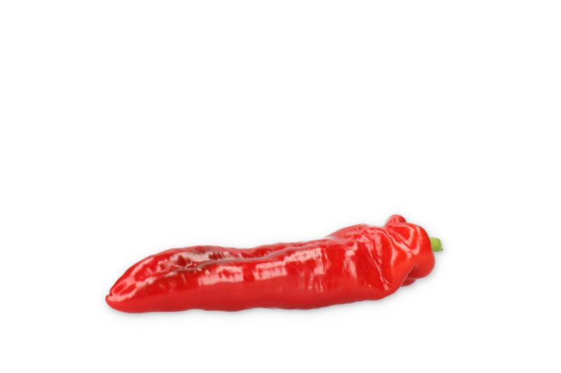 PALERMO RAMSDALE F1 (35-DR1480) Produktbild view-2 L