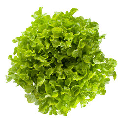 KIREVE RZ product photo