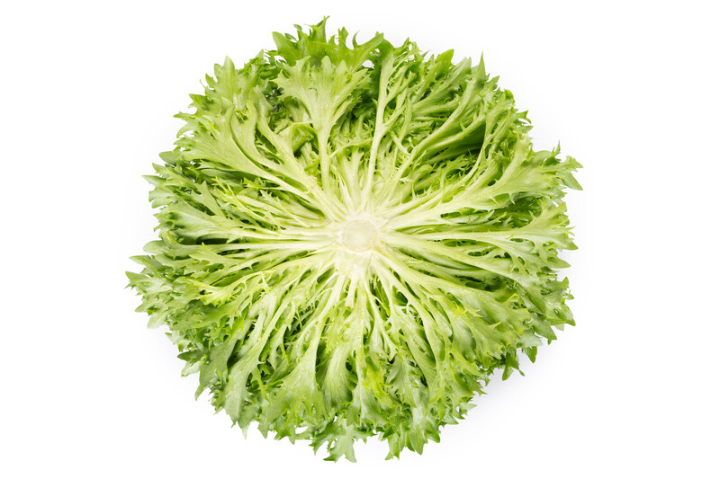 Salanova® EXANIMO RZ (79-IN1600) Knox™ - Lettuce | Rijk Zwaan