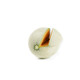 CARIBBEAN DIAMOND RZ F1 Foto do produto view-3 S