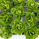 RABELLO RZ product photo view-5 S