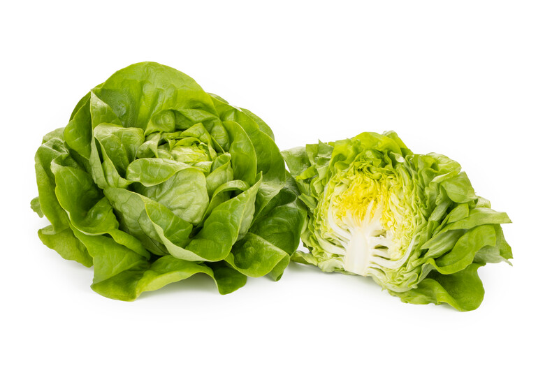 HALEWYN RZ (42-117) product photo view-4 L