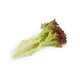ROONEY RZ product photo view-3 S