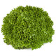 EXPERTISE RZ product photo front S