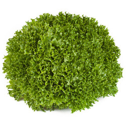 EXPERTISE RZ product photo