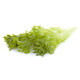 EXPERTISE RZ product photo view-4 S