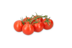 CURZIO F1 (72-IM6756) Produktbild